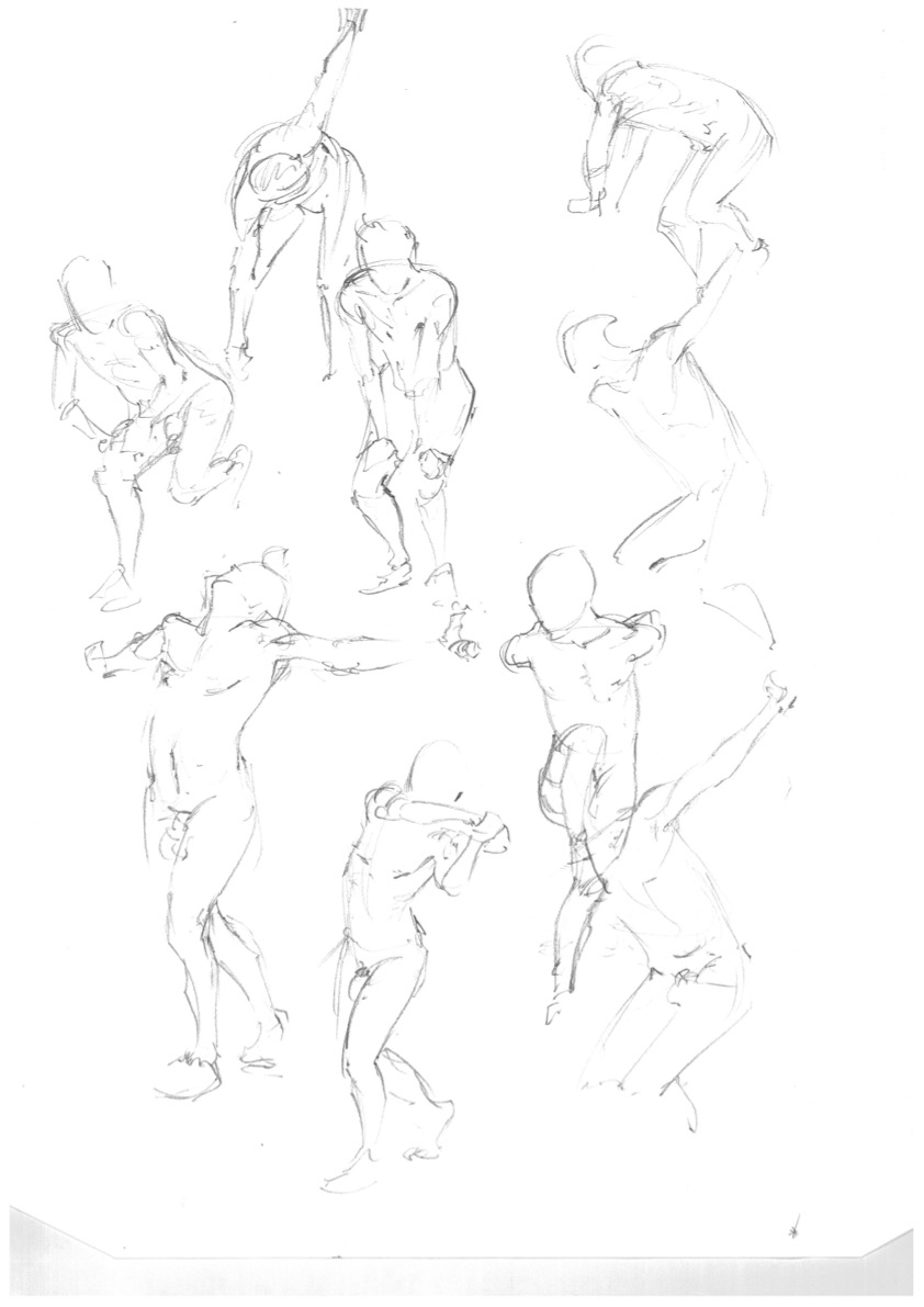 Morphologie