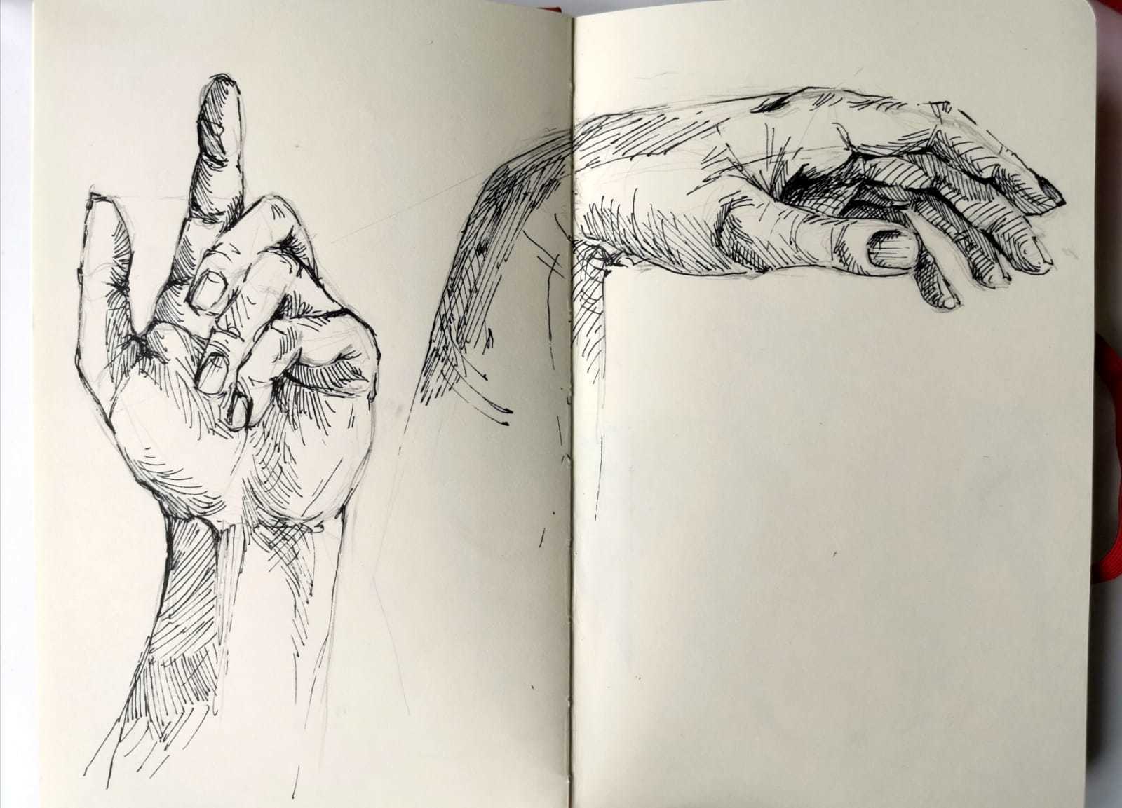 Dessiner le vivant