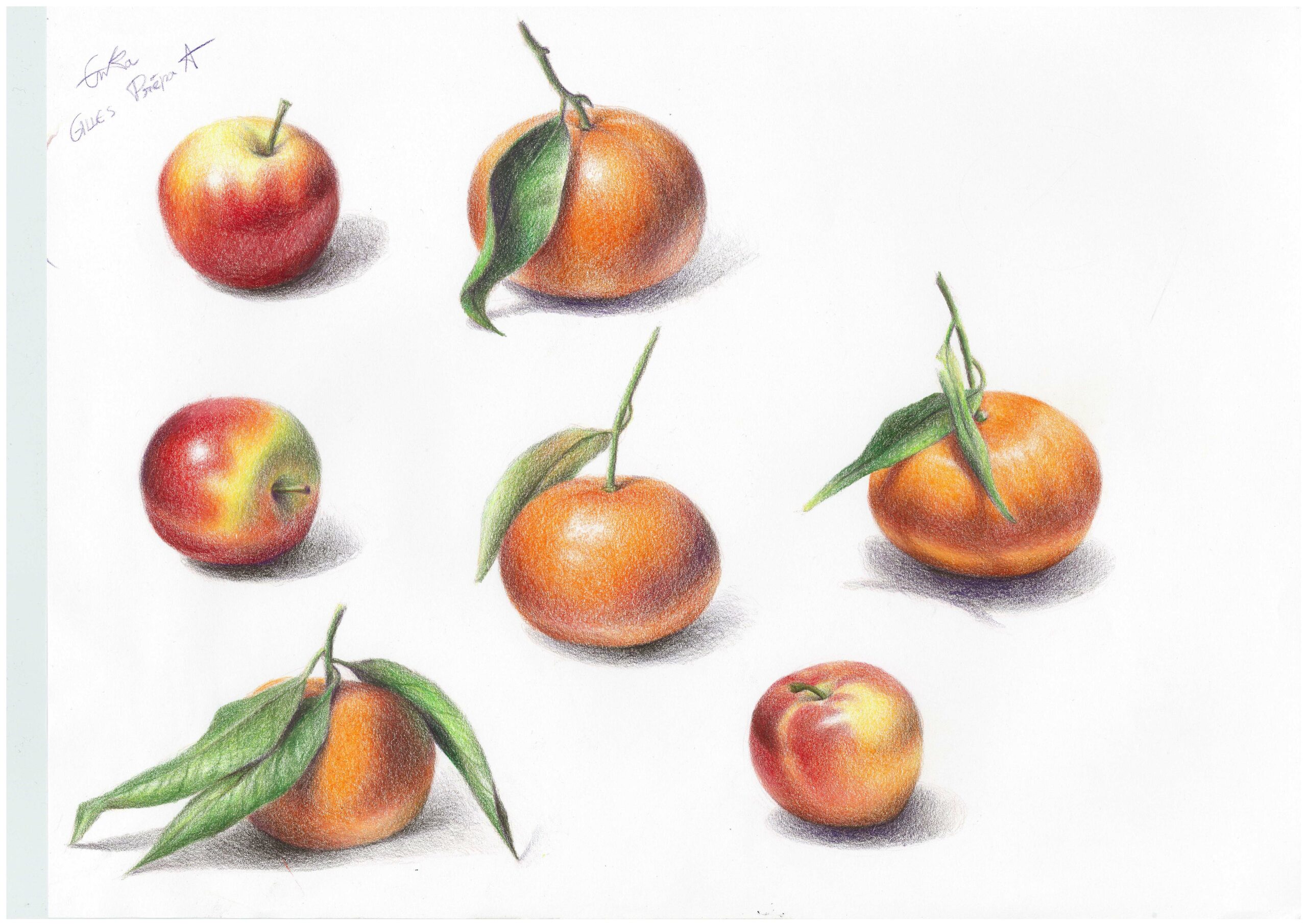 Étude couleur de fruits — Enka Gilles